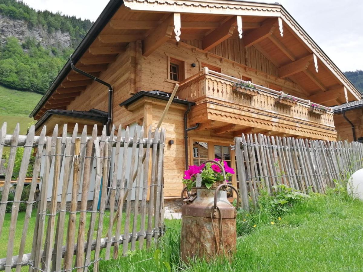 Birnbaum Chalets 格罗萨尔 外观 照片