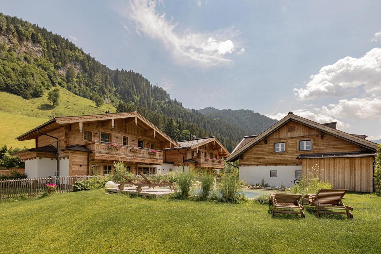 Birnbaum Chalets 格罗萨尔 外观 照片