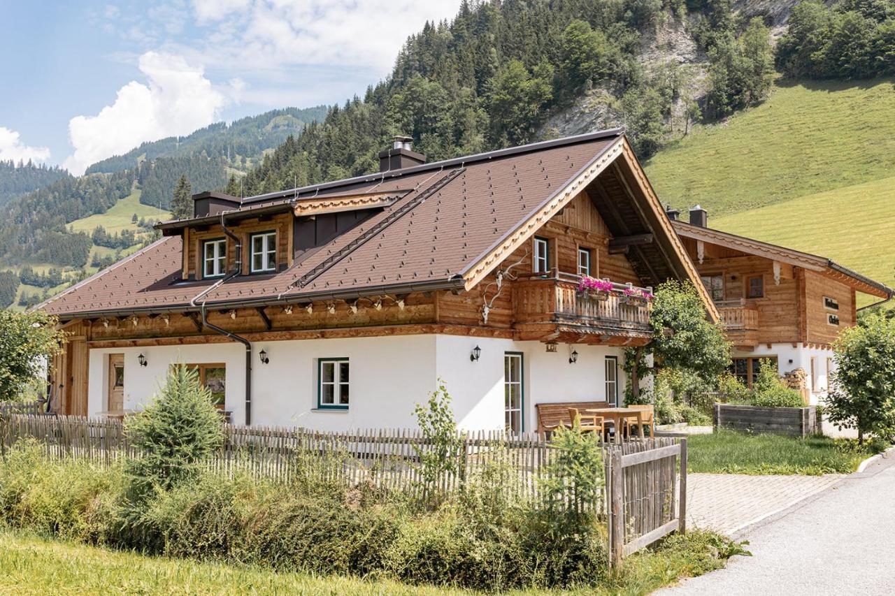 Birnbaum Chalets 格罗萨尔 外观 照片