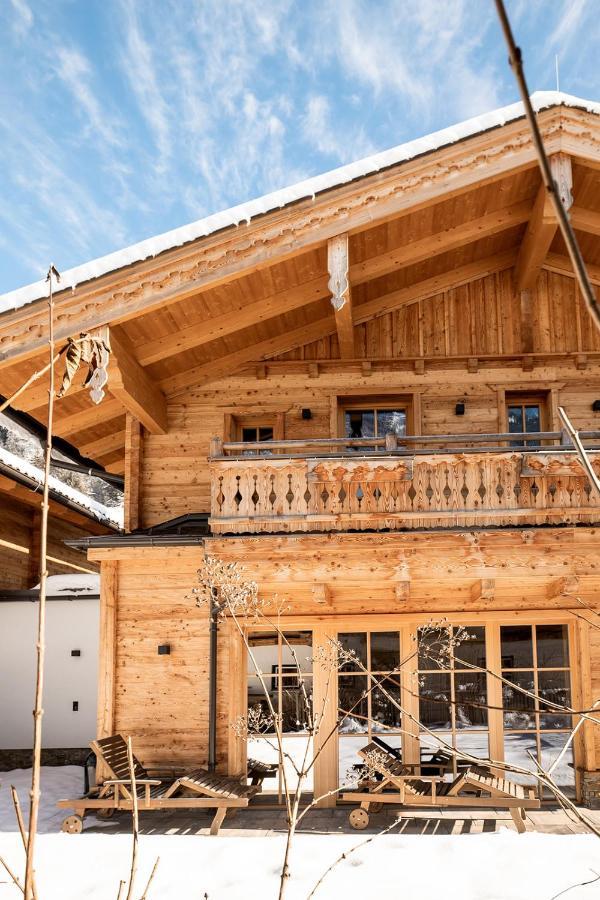 Birnbaum Chalets 格罗萨尔 外观 照片