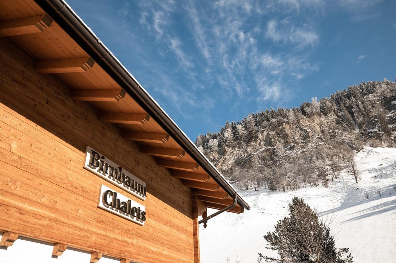 Birnbaum Chalets 格罗萨尔 外观 照片