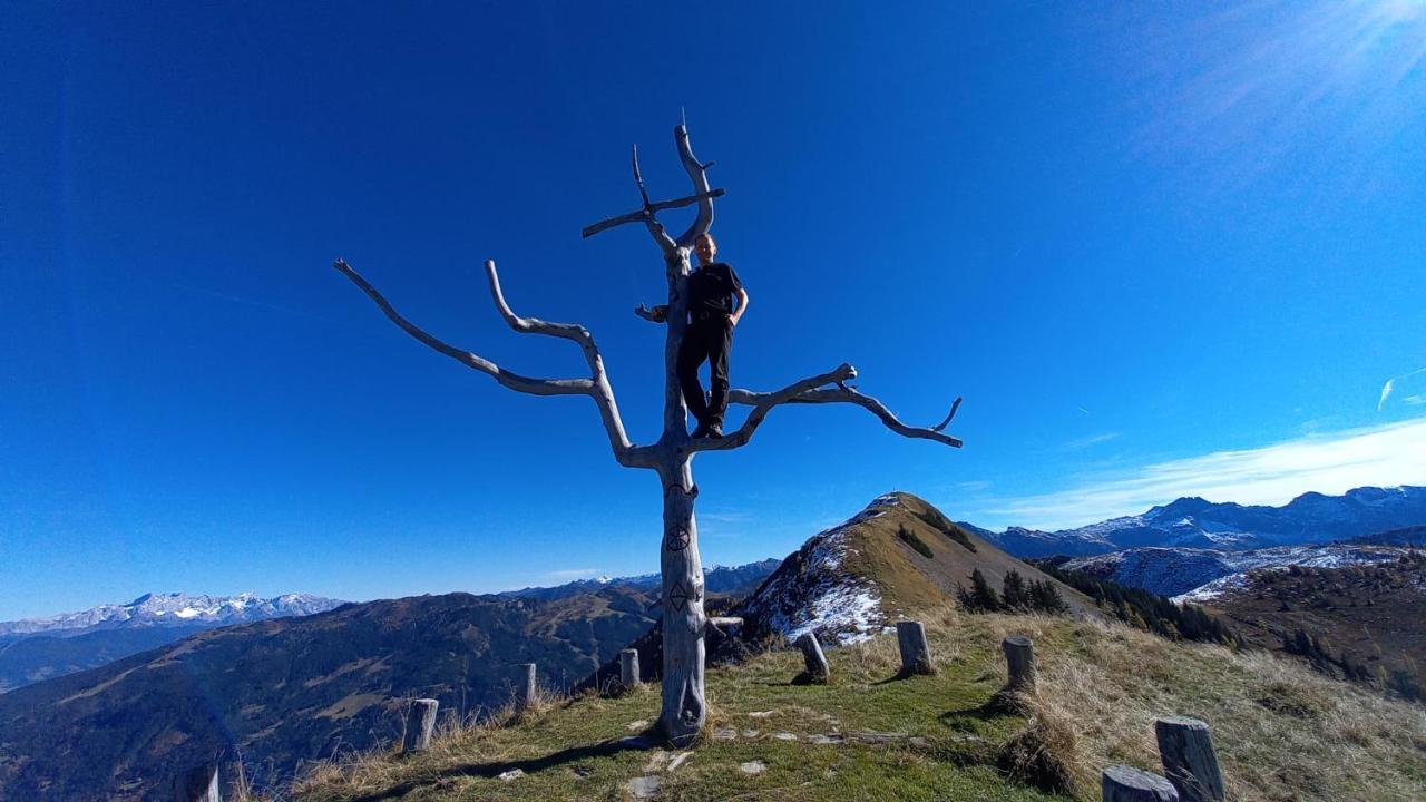 Birnbaum Chalets 格罗萨尔 外观 照片