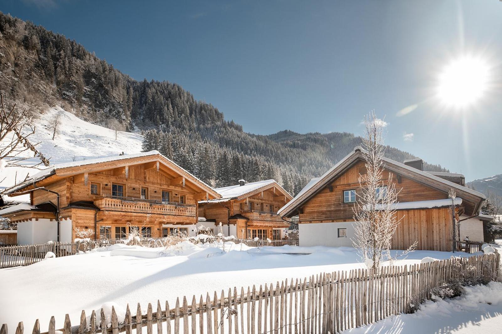 Birnbaum Chalets 格罗萨尔 外观 照片