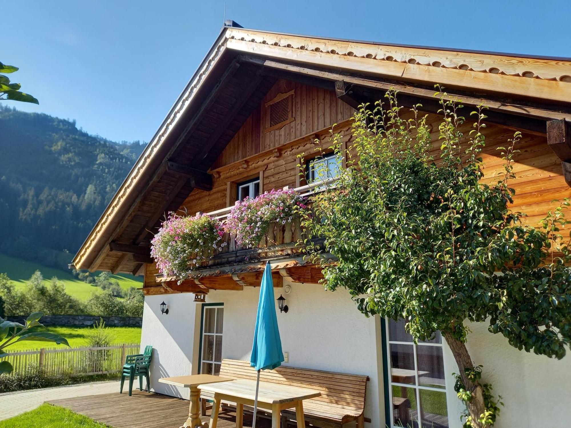 Birnbaum Chalets 格罗萨尔 外观 照片
